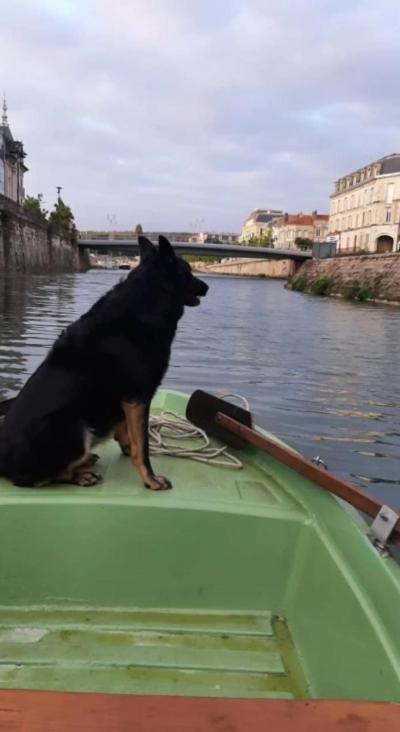 Le Gite Embarque - Gere Par Presta-Zen'Services - Barque Electrique En Supplement Verdun-sur-Meuse Екстериор снимка